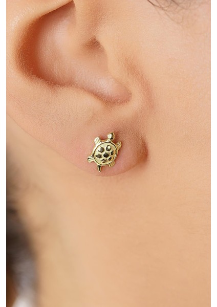 14 Ayar Altın Kaplumbağa Küpe