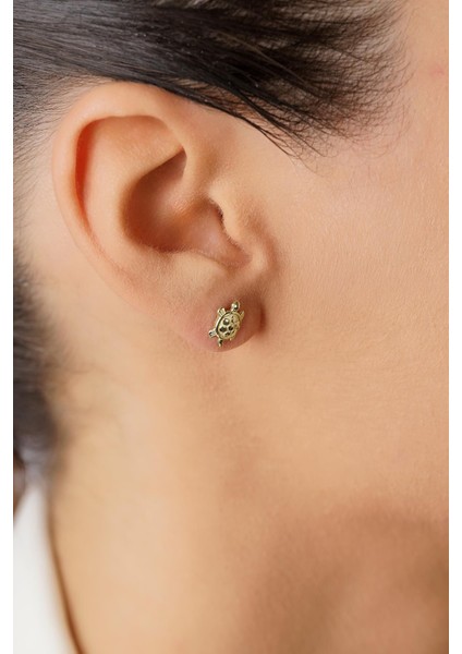 14 Ayar Altın Kaplumbağa Küpe modelleri