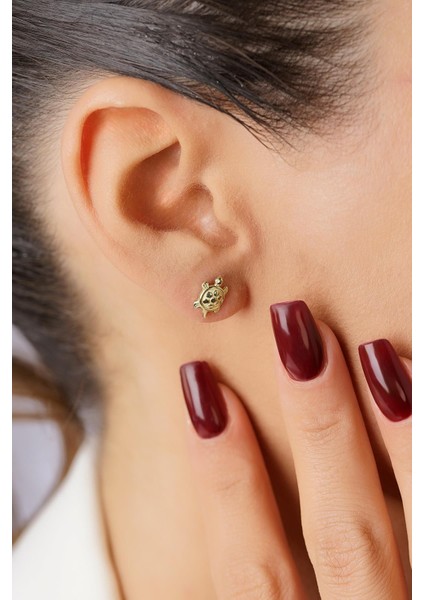 14 Ayar Altın Kaplumbağa Küpe fırsatları