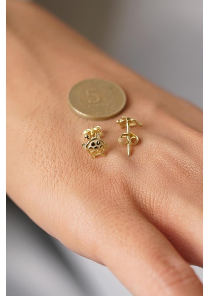 14 Ayar Altın Kaplumbağa Küpe indirimleri