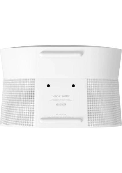 Era 300 Dolby Atmos, 6 Sürücü, Wifi 6, Bluetooth 5.3, Trueplay Ayarı, Airplay 2, Alexa Uyumlu, Mekansal Ses Hoparlörü