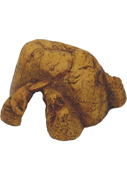 Wizard Exo Terra Sürüngen Mağarası (Xl)