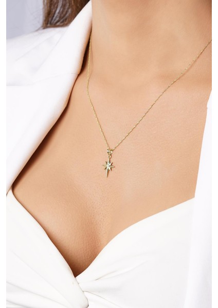 14 Ayar Altın Baby Singapur Zincir Kuzey Yıldızı Kolye fiyatları