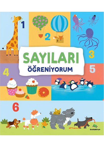Sayıları Öğreniyorum
