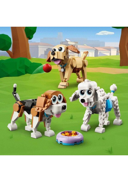 31137 Creator 3in1 - Sevimli Köpekler 475 Parça +7 Yaş fırsatları