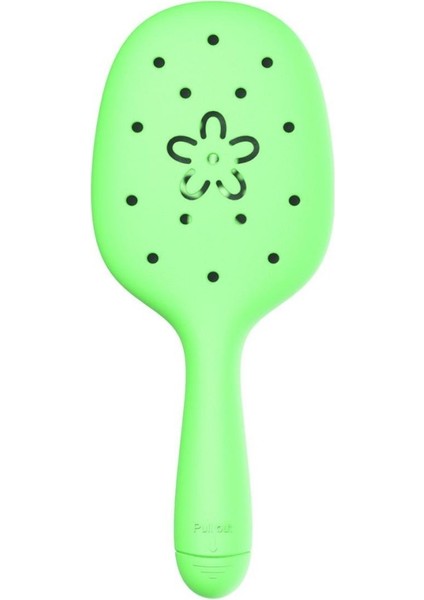 Saç Fırçası Yeşil fırsatları