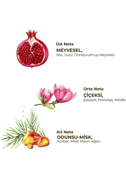 Kadın Roll On Deodorant 75 ml Floral fiyatları