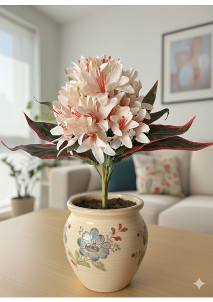 Krem Çan Çiçeği ve Kırmızı Kılıç Çiçeği Aranjmanı Özel Gün Ev Dekorasyonu fiyatları