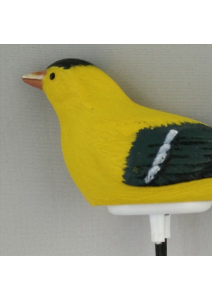 4x Toprak Nem Metre Sulama Alarm Kuş Bitkisi Su Test Cihazı Higrometre Sensör Bahçecilik Aracı Kiti (Sarı) (Yurt Dışından) modelleri