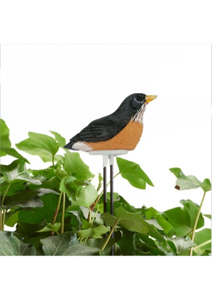 4x Toprak Nem Metre Sulama Alarm Kuş Bitkisi Su Test Cihazı Higrometre Sensör Bahçecilik Aracı Kiti (Sarı) (Yurt Dışından) fırsatları