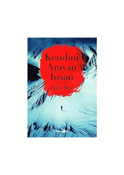 Demir John - Erkekler Üzerine Bir Kitap + Kendini Arayan Insan fiyatları