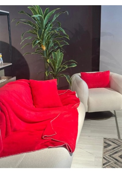 Wellsoft Tek Kişilik Tv Battaniye ve Kırlent Seti | Fuşya |150 x 200 cm modelleri
