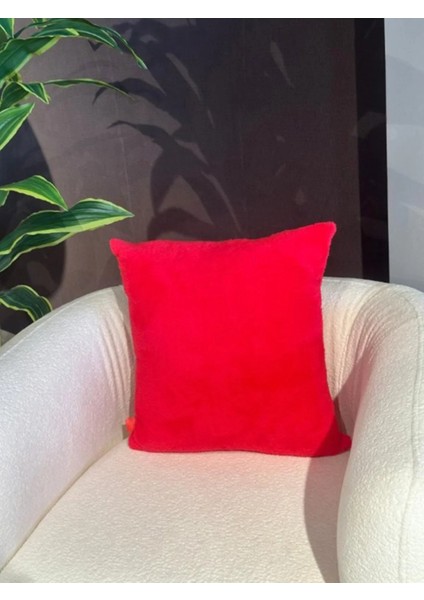 Wellsoft Tek Kişilik Tv Battaniye ve Kırlent Seti | Fuşya |150 x 200 cm