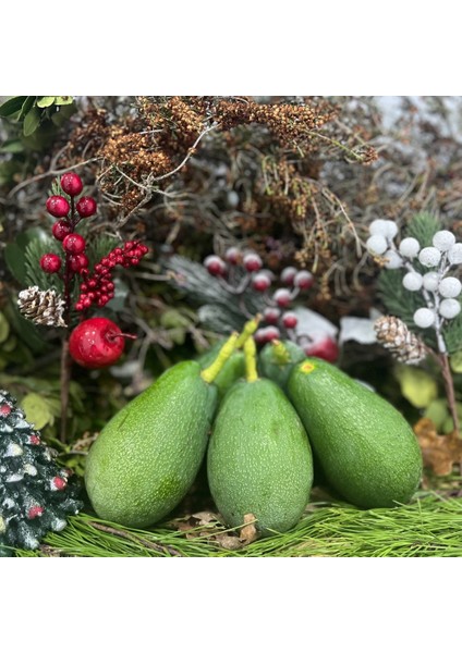 Yılbaşı Meyve Paketi 1 Avokado ve Taze Meyveler fiyatları
