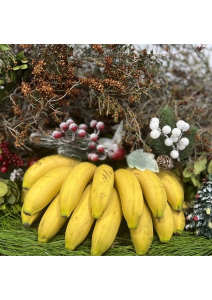 Yılbaşı Meyve Paketi 1 Avokado ve Taze Meyveler