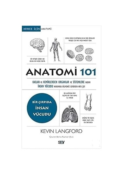 Insanı Tanıma Sanatı + Vagus Sinirine Reset At: Stresin Panzehiriyle Bedensel ve Zihinsel Dengeyi Bulmak fırsatları