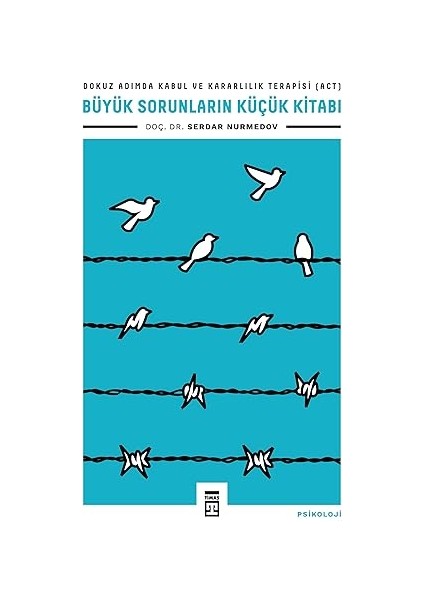 Bilinç ve Bilinçdışı + Büyük Sorunların Küçük Kitabı: Dokuz Adımda Kabul ve Kararlılık Terapisi (Act) fiyatları