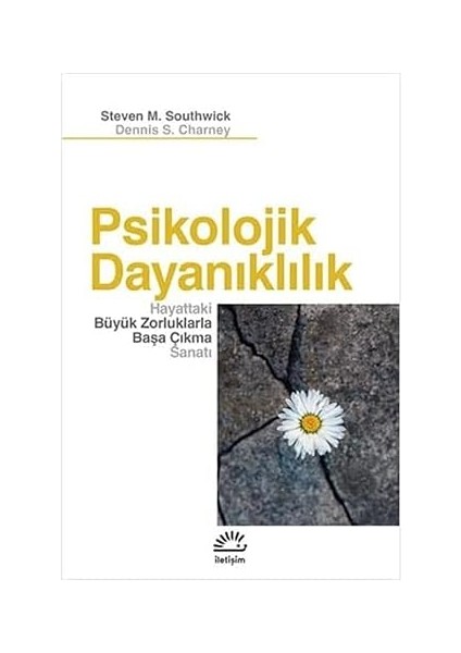 Dopamin Toplumu: Haz Çağında Dengeyi Bulmak + Efendi Adamın Toksik Kırılganlığı modelleri