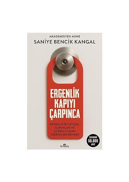 Psikoterapide Formülasyon Sanatı: Çocuk Genç ve Yetişkinlerle Çalışan Uzman ve Uzman Adayları Için fiyatları