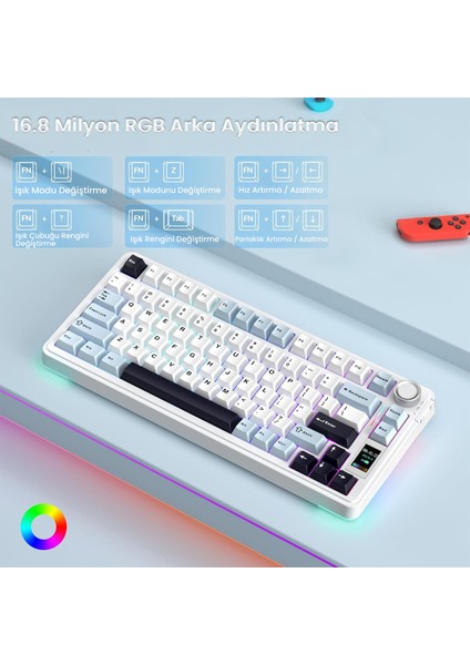 S75 Pro Mekanik Rgb Tkl Seiya Switch Kablosuz Makrolu Hot Swap Klavye Lacivert indirimleri