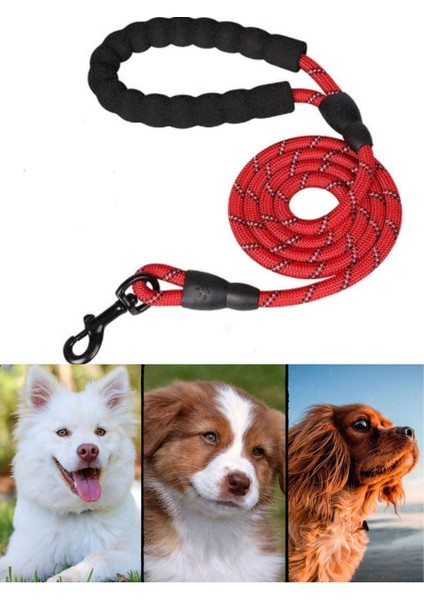 Köpek Gezdirme Tasma Kayışı 40 Kg'a Kadar Köpekler Için Tasma Halatı Gezdirme Ipi 150 cm fiyatları