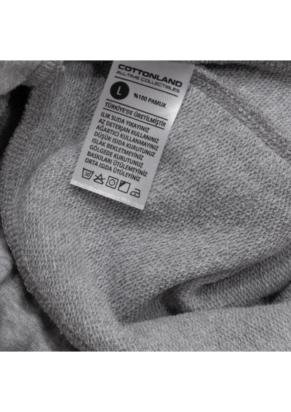 Erkek Modena Klasik Normal Bel Baharlık Pamuk Eşofman Alt