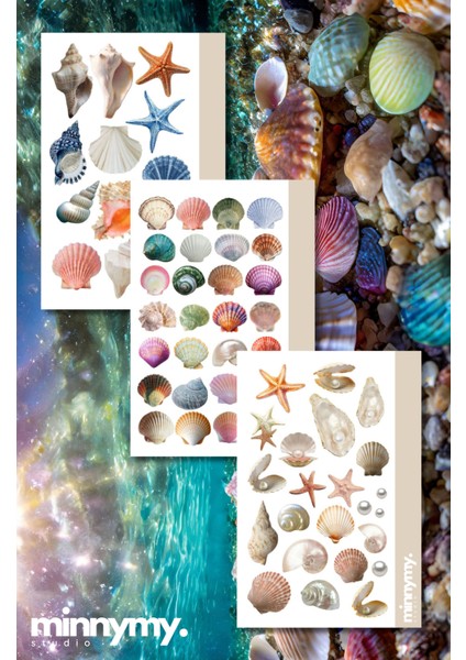 3'lü Seashell Collection Retro Sticker, Çıkartma, Ajanda, Günlük, Planlayıcı, Bullet Journal ,scrapbook