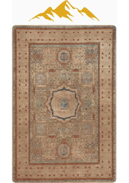 Parlak Kadife Kumaş Klasik Dijital Baskı Dot Kaymaz Tabanlı Halı H1068 modelleri