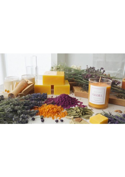 Candıll %100 Doğal Balmumu Mum – Parafin Içermez, Hava Temizleyici Negatif Iyon Etkili, Hipoalerjenik & Temiz Yanan Premium Cam Mum (Lavanta / Paçuli / Portakal Çiçeği)