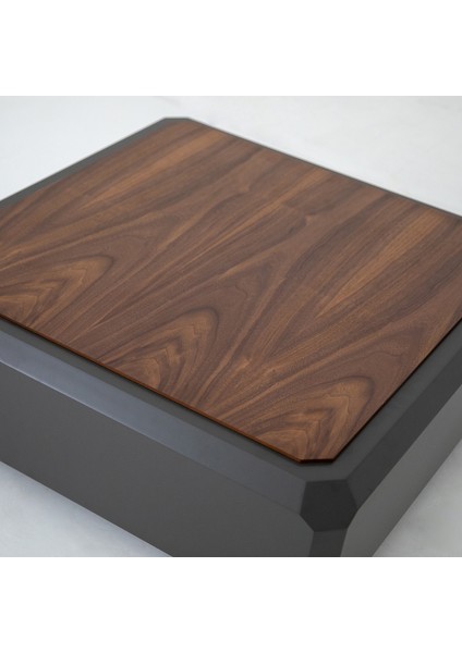 Roma Ikili Orta Sehpa Seti indirimleri