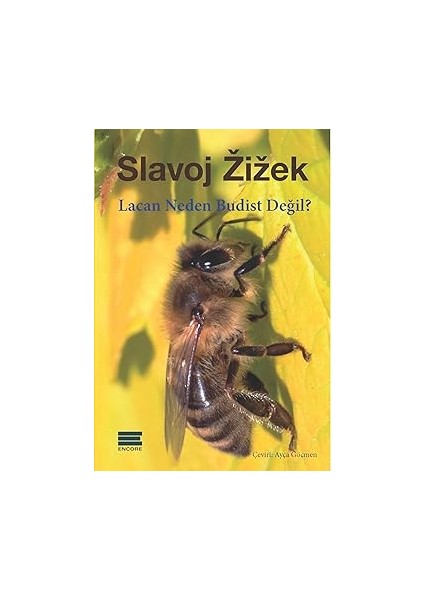 Mit ve Anlam + Söylem ve Hakikat + Lacan Neden Budist Değil? modelleri