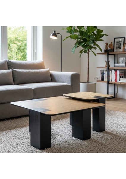 Lavanta Ikili Orta Sehpa Seti fiyatları