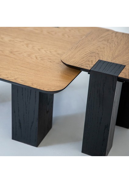 Lavanta Ikili Orta Sehpa Seti fırsatları