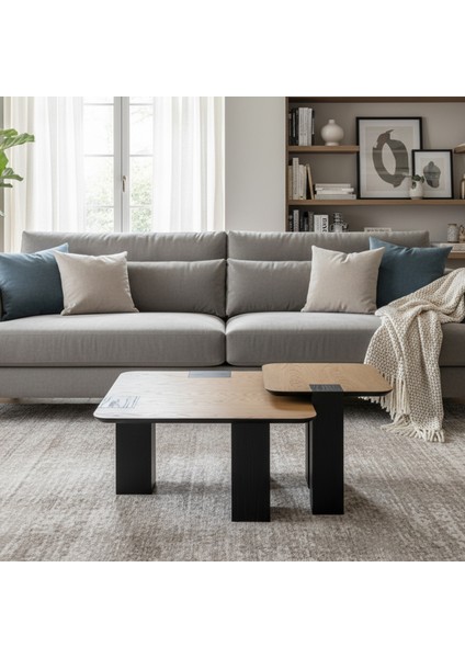 Lavanta Ikili Orta Sehpa Seti