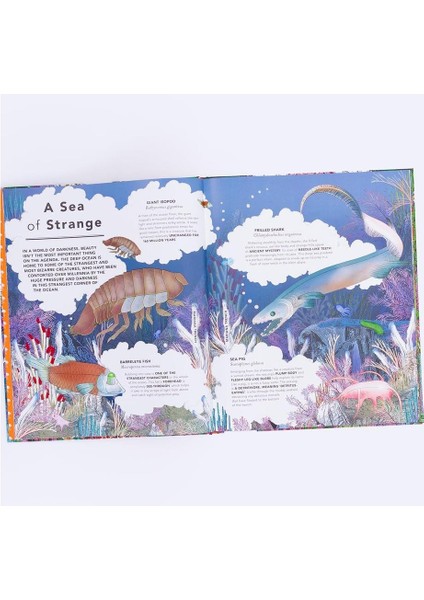 The Fantastical Safari indirimleri