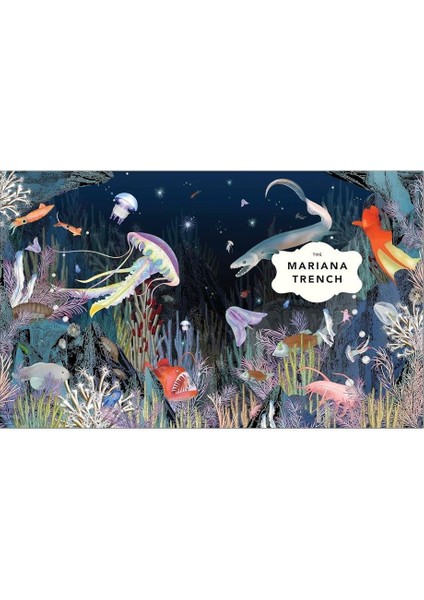 The Fantastical Safari