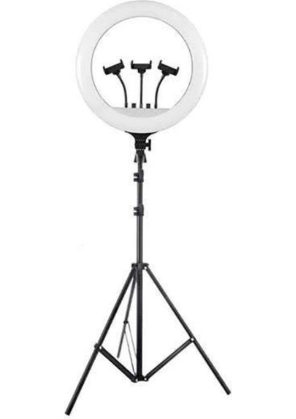 CPT83 MJ56 Selfie Işığı Tripodlu fiyatları