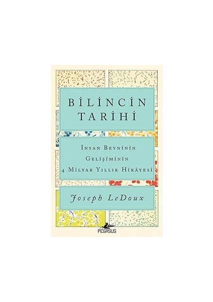 Bilincin Tarihi - Insan Beyninin Gelişiminin 4 Milyar Yıllık Hikayesi + Tanrı’nın Ölümü ve Kültür