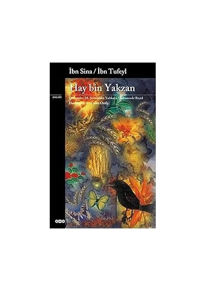 Ruhun Özellikleri + Hay Bin Yakzan fiyatları