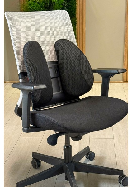 Ayarlanabilir Ergonomik Sırt Desteği Xtr, Süngerli Ekstra Destekli