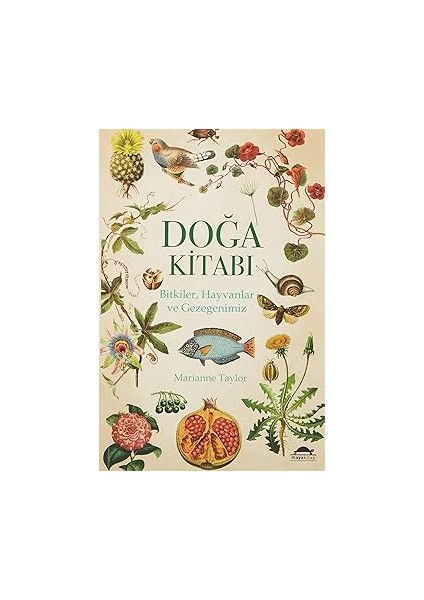 Doğa Kitabı: Bitkiler, Hayvanlar ve Gezegenimiz + Lanetli Tavşan