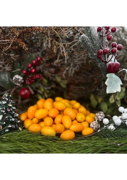 Yılbaşı Meyve Paketi 4 Avokado ve Taze Meyve indirimleri