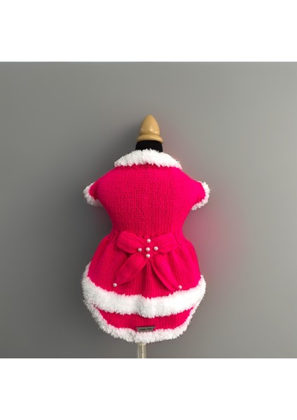 Kedi ve Köpek Için Neon Lolita Yeni Yıl / Noel Kazağı modelleri