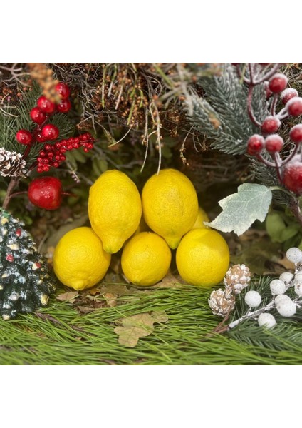 Yılbaşı Meyve Paketi 3 Avokado Vetaze Meyveler fiyatları