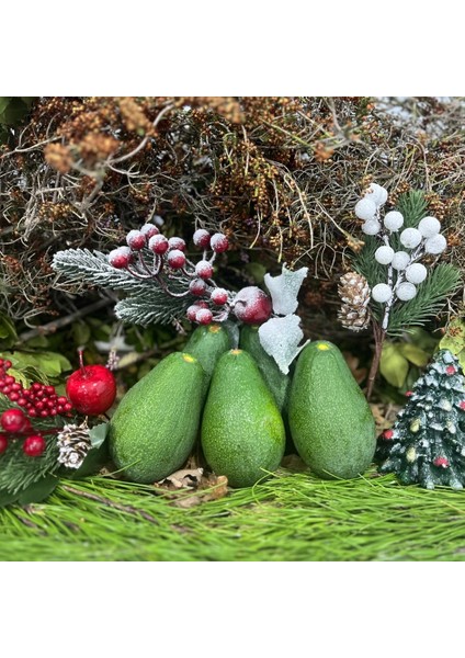 Yılbaşı Meyve Paketi 2 Avokado Vetaze Meyveler