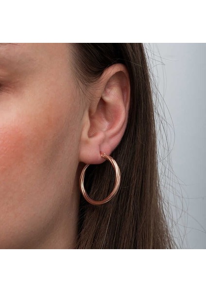 Gümüş Rose 3 mm Burgu Şarnel Küpe fiyatları