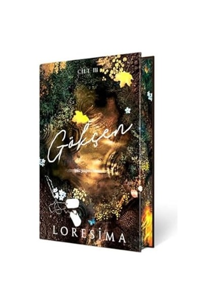 Gizli Yüz + Gökçen 3 - Güz Yağmurları (Ciltli - Özel Baskı) + Çizim Sanatı Serisi Seti 10 Kitap fiyatları