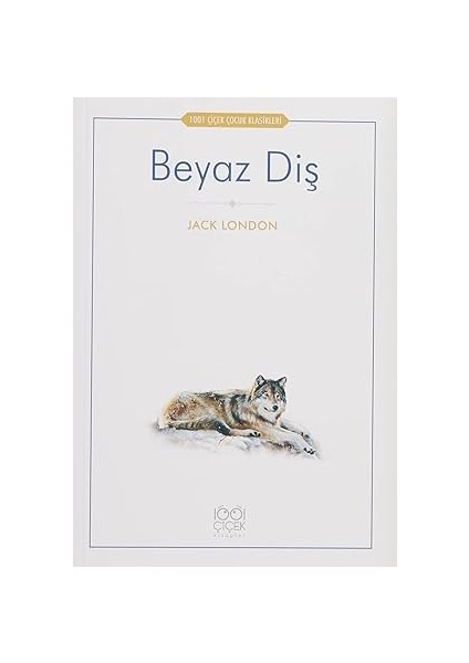 Beyaz Diş + Ustalık + Yaşam 3.0: Yapay Zeka Çağında Insan Olmak