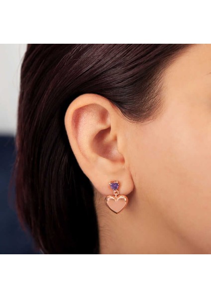 Gümüş Rose Kalp Çivili Kadın Küpe fiyatları