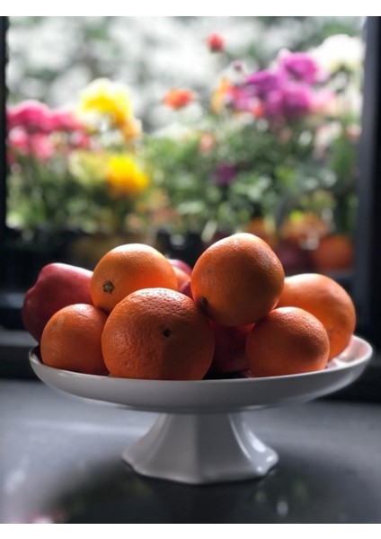 Altın Yaldızlı Yemek Takımı Parçalı Meggdecor